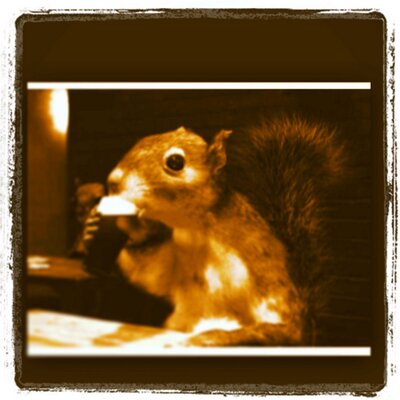 Profile Picture of Chris Hurlburt (@firstelementkeg) on Twitter