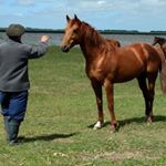 Profile Picture of Juan Manuel Irigoyen (@juanmanuelirigoyen) on Instagram