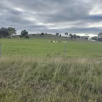 Profile Picture of Antony Davit (@thomas.tony.560624) on Facebook