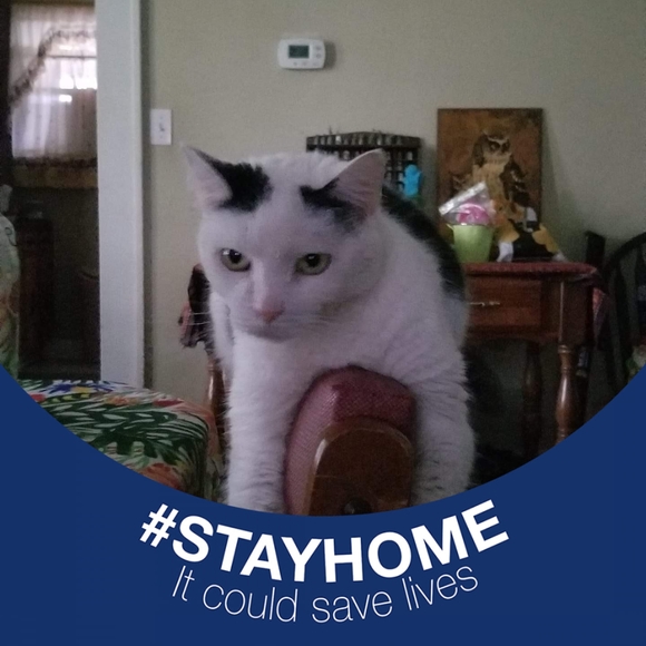 Profile Picture of Margaret Rizzuto (@margaretrizz229) on Poshmark