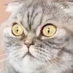 Profile Picture of Greg John Colson (@gregj353) on Instagram