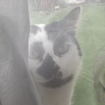 Profile Picture of Blake Knapp (@blakeknapp2004) on Instagram