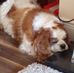 Profile Picture of Catherine Fitzpatrick Comiskey (@catherine.fitzpatrick.94801) on Facebook