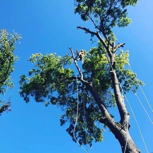 Profile Picture of Hayden Fairbanks (@haydenfairbanks) on Poshmark