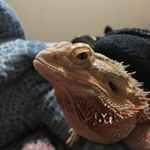 Profile Picture of Wesley (@deezwesley) on Instagram