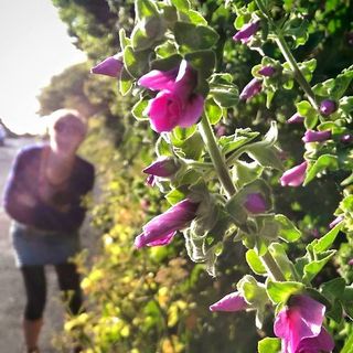 Profile Picture of Ruth Singleton (@ruth.singleton.79) on Facebook