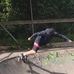 Profile Picture of Matt Dutton (@matt.dutton.161) on Facebook