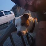 Profile Picture of Craig Erwin (@sidtheman12) on Instagram