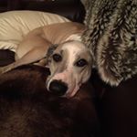 Profile Picture of Ruth Franks Eckert (@ruth.franks) on Instagram