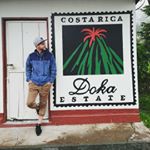 Profile Picture of Matthias Dell (@matthew.delbridge) on Instagram