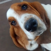 Profile Picture of Daniel Monarrez (@danielmonarrez1102) on Youtube