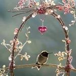 Davida M Carter-Burns - Instagram Profile Picture of Davida M Carter-Burns (@davidamburns) on Instagram