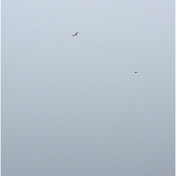 Profile Picture of Nadia Al-Dajani (@nadiaal-dajani773) on Youtube