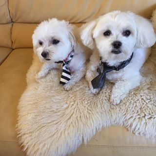 Profile Picture of Midge Moore (@Midge-Moore) on Facebook