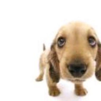 Profile Picture of Mike Lal (@MikeLal4) on Twitter