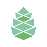 Profile Picture of PINE, roots for brands (@pine.digital) on Instagram