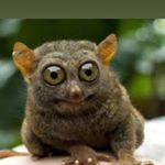 Profile Picture of Dustin McIntyre (@forbidden_boomer) on Instagram