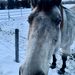 Profile Picture of Richard Bankert (@richard_bankert) on Pinterest