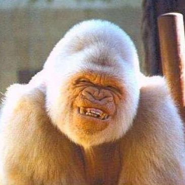 Profile Picture of Jack Kidd (@BigMac_Games) on Twitter