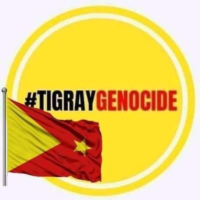 Profile Picture of Abraham Tesfay Tadius (@TadiusTesfay) on Twitter