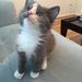 Profile Picture of Adriane Fadely (@adrianef) on Pinterest