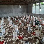 Profile Picture of Moses Zach (@irvines.broiler) on Instagram