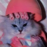 Profile Picture of Kara Peterson (@karapeterdaughter) on Instagram