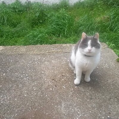 Profile Picture of Cassandra Harvey (@Cassyharvey124) on Twitter