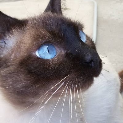 Profile Picture of Maria Carlota (@mariacarlota101) on Twitter