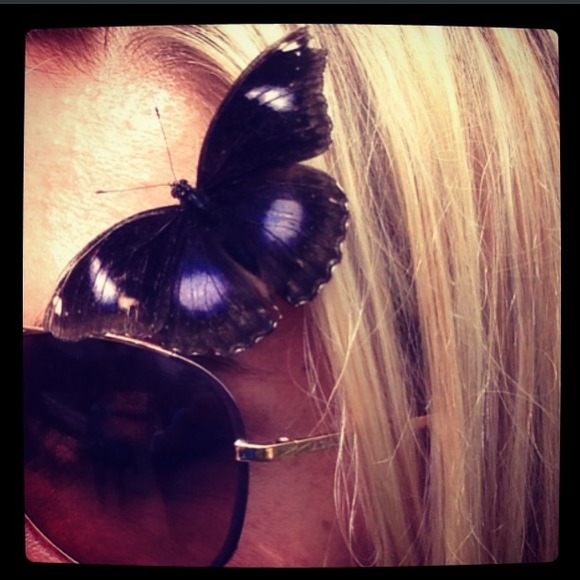 Profile Picture of Melody Wade (@melodyw22) on Poshmark