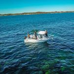 Profile Picture of Michael Leunen (@michael.leunen11) on Instagram