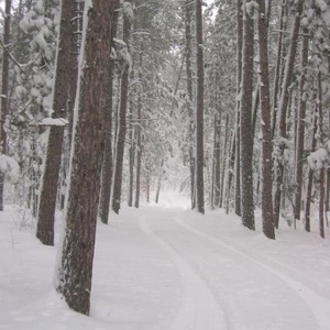 Profile Picture of Kelsey Willette (@161580754) on Myspace