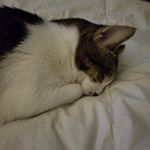 Profile Picture of Lora Hansen (@lora.hansen.77) on Instagram