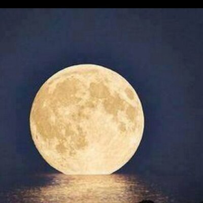 Profile Picture of Robert Greenleaf (@hostile_bob) on Twitter