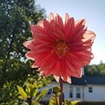 Profile Picture of Phyllis Bryant Thompson (@phyllist2) on Instagram