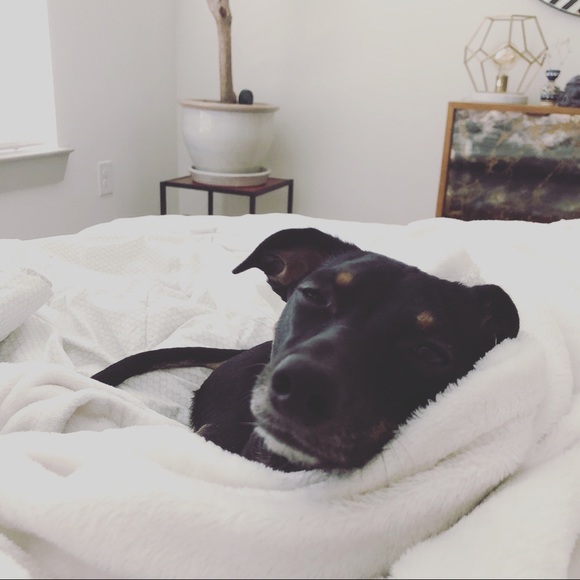 Profile Picture of Natalia Ferreyra (@nferreyra1) on Poshmark