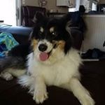 Profile Picture of John Monteleone (@johnmonteleone) on Instagram