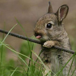 Profile Picture of Dan Banker (@Dan-Banker) on Facebook