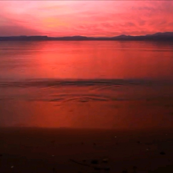 Victoria Salmon - Poshmark Profile Picture of Victoria Salmon (@toria4u) on Poshmark