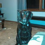 Profile Picture of scottstadler (@sstad10) on Instagram