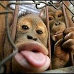 Profile Picture of Jeff Hyman (@hyman_jeff) on Instagram