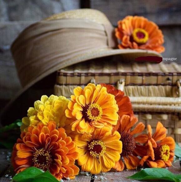 Profile Picture of Liliya Redko (@liliyaredko1234) on Poshmark