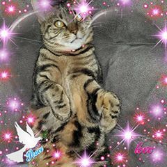 Profile Picture of Colin Mckay (@colinmckay27) on Tiktok