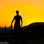 Profile Picture of Ömer Kaya (@street parrot) on Flickr