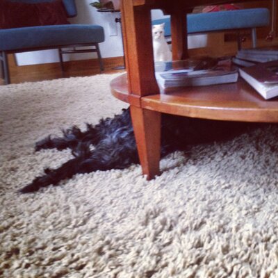 Profile Picture of Nick Flaherty (@FlahertyNick) on Twitter