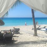 Profile Picture of Peter Metzger (@pedropeter_der_coole) on Instagram