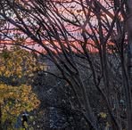 Profile Picture of Brett Cory (@Brett-Cory) on Facebook