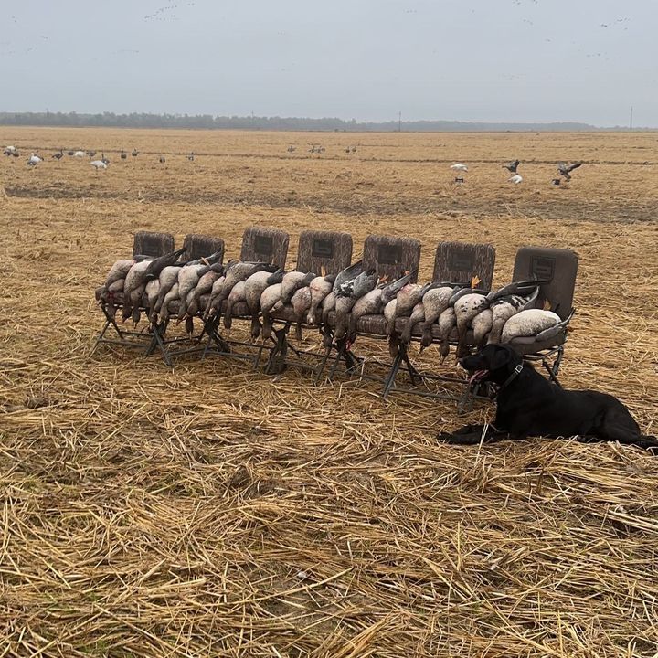 Profile Picture of Andrew.L (@andrew_lewis04) on Tiktok