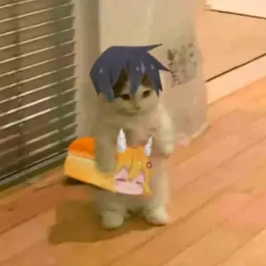 Мемный сас - Tiktok Profile Picture of Мемный сас (@kravor1234567) on Tiktok