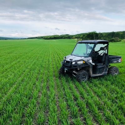 Profile Picture of Andy Keen (@KeenSeeds) on Twitter